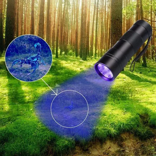 Alt view image 2 of 5 - UV Flashlight UV Light linterna Torch 12 LED Ultraviolet Detector For Dog/Cat/Pet Urine Scorpion Bed Bug On Carpets/Rugs/Floor