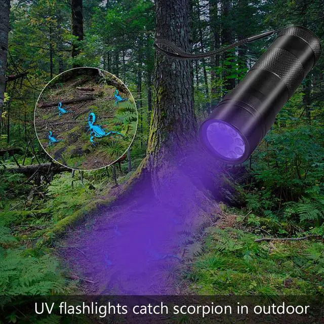 Alt view image 4 of 5 - 12 LEDs 395nm UV Handheld Flashlight Black Light Ultraviolet Urine Detector Torch linterna For Dog/Cat/Pet Urine & Dry Stains