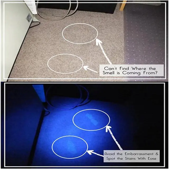 Alt view image 4 of 5 - Portable UV Flashlight Black light UV Lights 21 395nm torch LED Ultraviolet linterna Pet Urine Detector For Dog/Cat Urine