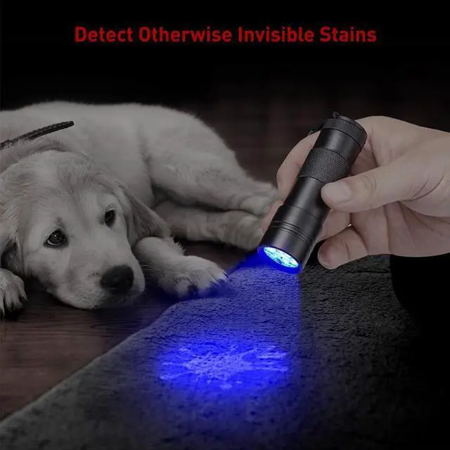 Alt view image 3 of 5 - Black Light UV Flashlight 12 LEDs 395nm Ultraviolet Urine Detector Torch linterna For Dog/Cat/Pet Urine & Dry Stains