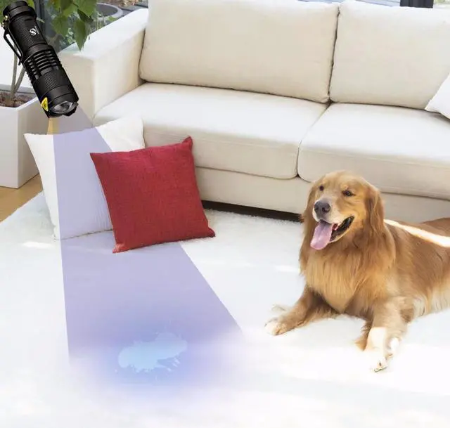 Alt view image 5 of 5 - UV Flashlight Ultra Violet Light With Zoom Function Mini UV Light Pet Urine Stains Detector Scorpion Outdoor Lighting