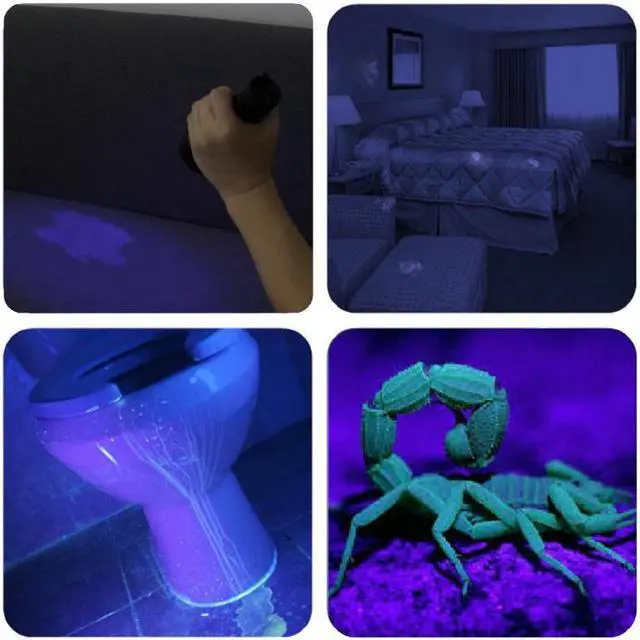 Alt view image 5 of 5 - UV Flashlight UV Light linterna Torch 12 LED Ultraviolet Detector For Dog/Cat/Pet Urine Scorpion Bed Bug On Carpets/Rugs/Floor