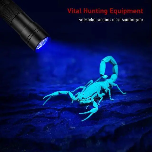 Alt view image 5 of 5 - Black Light UV Flashlight 12 LEDs 395nm Ultraviolet Urine Detector Torch linterna For Dog/Cat/Pet Urine & Dry Stains
