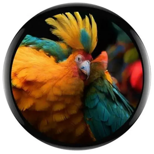 Main image of FOR -S3 1.75 Inch AMOLED Round Touch Display With 6-Axis Sensor Development Board For AI , Iot Pro
