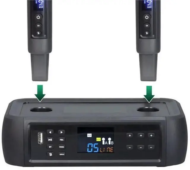 Main image of FOR D801 Electric Portable DSP Anti-Whistle Reverb Wireless Microphone For Home KTV Singing EU Plug