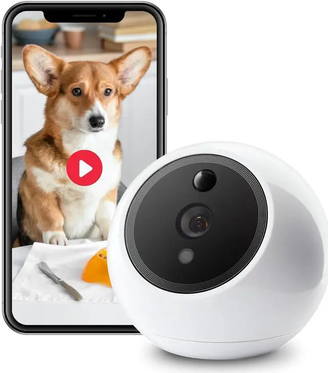 Main image of Apollo Pet Camera (White) + 1yr Subscription to 30-day Continuous Video Recording in the cloud only on Newegg.