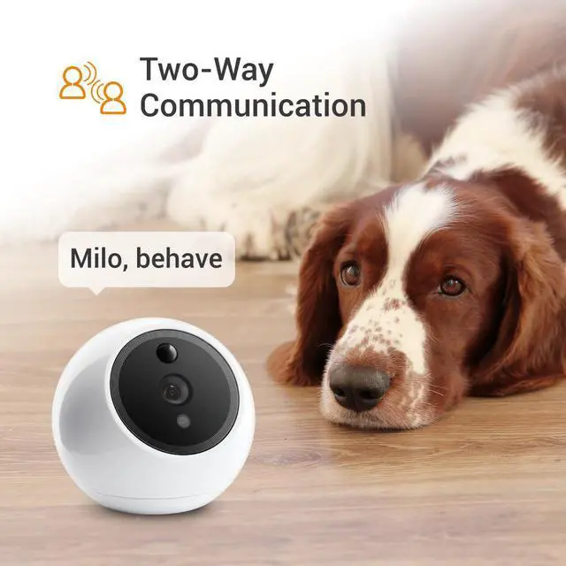 Alt view image 5 of 7 - Apollo Pet Camera (White) + 1yr Subscription to 30-day Continuous Video Recording in the cloud only on Newegg.