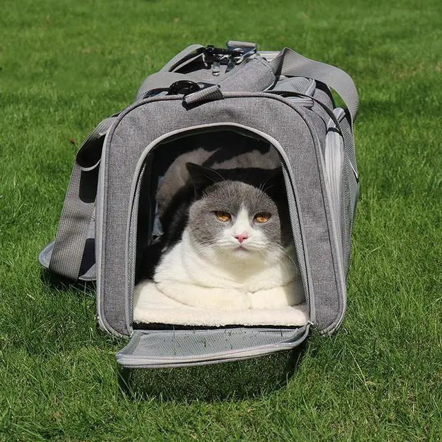 Alt view image 3 of 7 - Most Airline Approved Cat Carriers Dog Carriers Soft-Sided Pet Travel Carrier for Puppies/Kittens/Rabbits, 5-Sided Breathable Mesh, Self-Locking Zippers, 17''X11''X11'' Gray