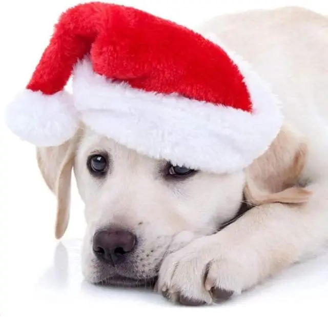 Main image of Santa Claus Hat for Cats Xmas Outfits Clothes Puppy Cat Christmas Costume Hat Santa Claus Pattern Cat Cosplay Costume Solid