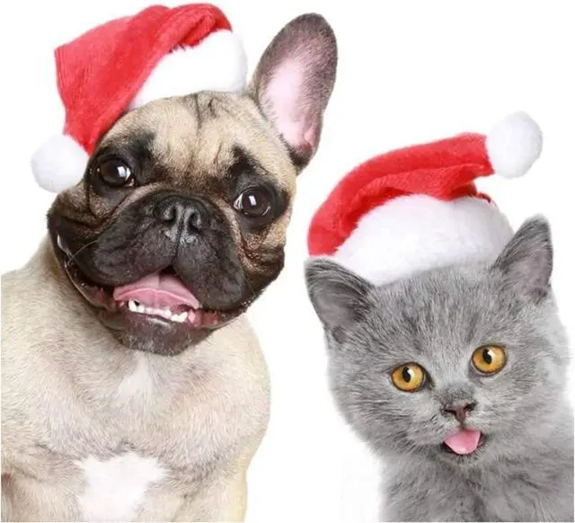 Alt view image 4 of 6 - Santa Claus Hat for Cats Xmas Outfits Clothes Puppy Cat Christmas Costume Hat Santa Claus Pattern Cat Cosplay Costume Solid