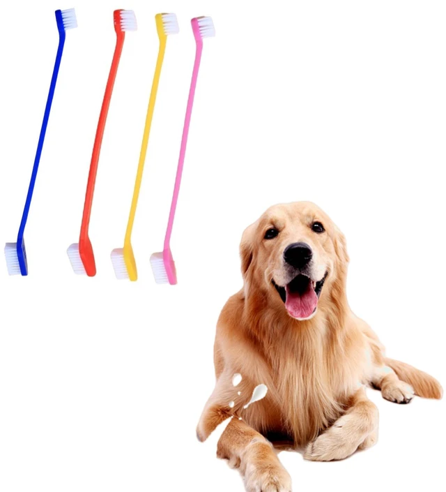 Main image of 4 Pcs Double-Headed Dog Toothbrush Cat Toothbrush Set Long Handle Pet Dental Care Long Handle, Pet Dental Care,Double-Headed