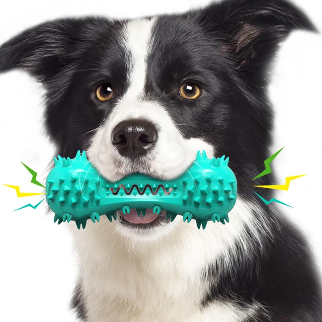 Main image of Dog Chew Toy Aggressive Chewers Dogs Bone Toys Dental Care Squeak Toy Teeth Cleaning Medium, Large Breed Dog