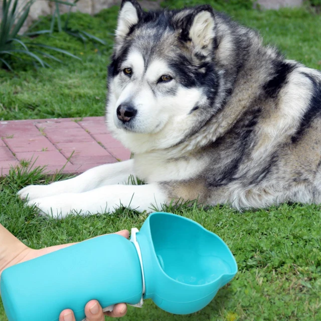 Alt view image 4 of 6 - 550 ml Dispensing Dog Water Bottle with Water Dispenser Portable Travel Bottle Pet Portable, Small & Medium Dogs, Lead & Dispenser Bowl, Leak-Proof Blue