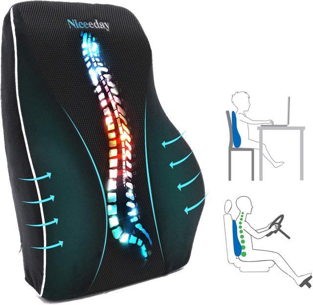 Orthopedic Car Lumbar Support Back Support Cushion for Lower Back Pain  Relief