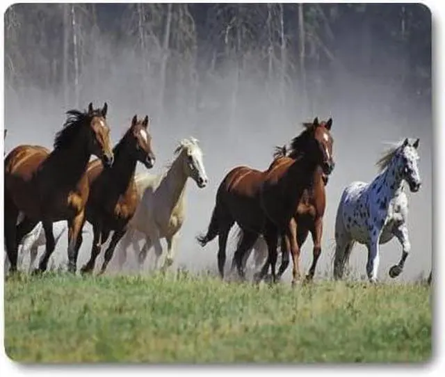 Main image of American Quarter Horse Prairie Animal Mouse Pad Cute Mat Galloping Horses Herd Ranch Animal Mouse Pads