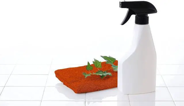 Alt view image 6 of 6 - 100% Cotton Kitchen Towels 15 x 25 Absorbent Dish Towels [Premium Quality 400 GSM] Fall Set (Pack of 4)