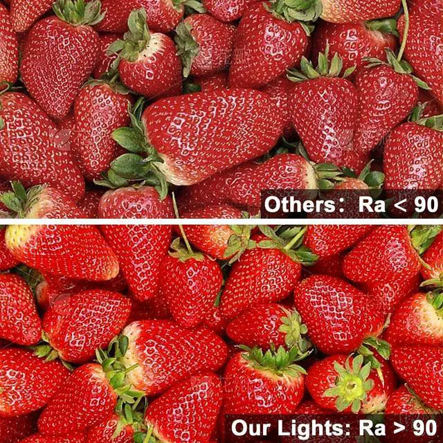 Alt view image 4 of 7 - 16.4ft COB LED Strip Lights Cool White 6500K 12V Dimmable LED Tape Light 48w 2400LEDs Ra 93+ IP30 Lighting for Kitchen Cabinets UL Listed (Power Source Not Included)