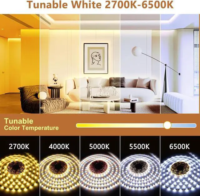 Alt view image 2 of 7 - White LED Strip Lights 100ft Dimmable Bright 24V Led Tape Light with Remote and App Control 2700K-6500K White 1440 LEDs Lights for Bedroom Kitchen Ceiling (1 Rolls of 100ft)