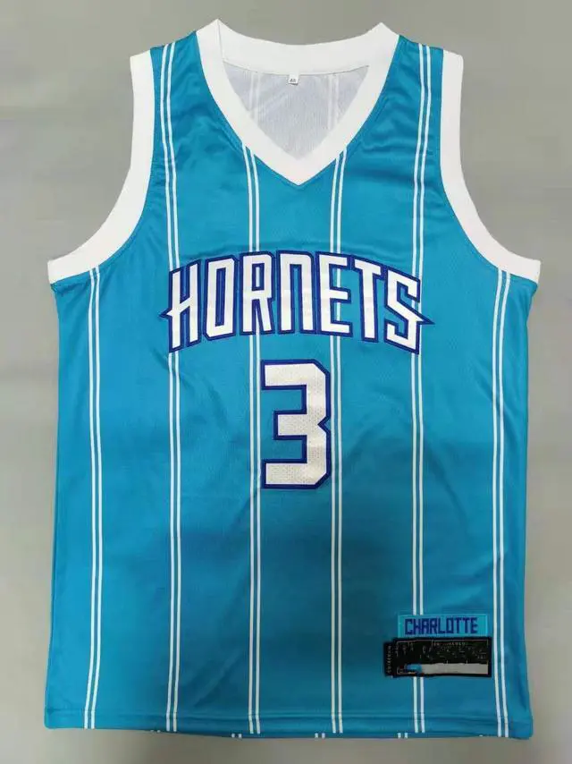 Main image of Charlotte Hornets Hayward Basketball Jersey