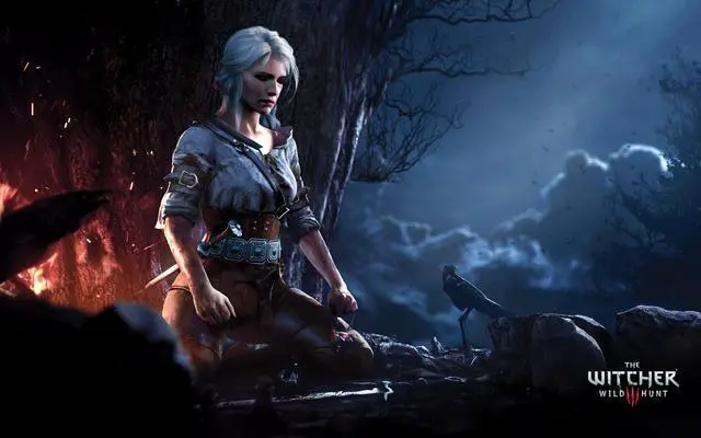 Alt view image 6 of 16 - the witcher 3 game of the year edition (ps4) ()