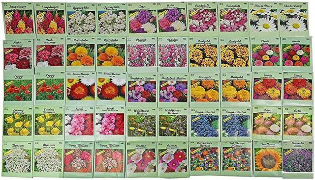 of 50 Assorted Flower Seed Packets Flower Seeds in Bulk 20+