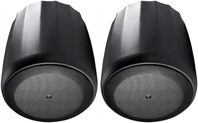 Main image of C65P/T | Compact Full Range Pendant Speaker BLACK (pair)