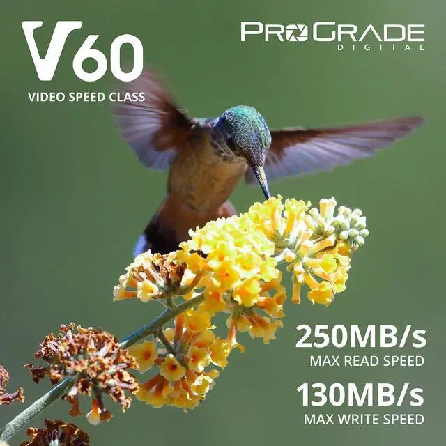 Alt view image 2 of 5 - Prograde Digital SD UHS-II 512GB Card V60 -Up to 130MB/s Write Speed and 250 MB/s Read Speed | for Professional Vloggers, Filmmakers, Photographers & Content Curators