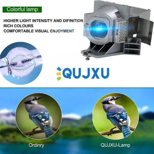 Alt view image 2 of 5 - QUJXU RLC-092 /RLC-093 Projector Lamp for Viewsonic PJD5155 PJD5255 PJD5153 PJD5555W PJD6350 PJD5353LS with Housing