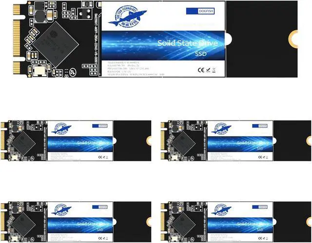 Main image of Dogfish M.2 SSD 64GB SATA III 6 Gb/s, M.2 (2280mm) Internal Solid State Drive - Compatible with Desktop PC Laptop (M.2 2280, 64GB*5Pack)