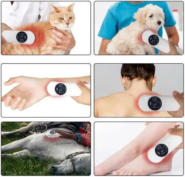 Alt view image 5 of 6 - COZING Red Light Therapy Device for Shoulder Back Knee Joint Muscle Pain Relief, 14pcs x 650nm + 3pcs x 808nm, 4 Power + 4 Timer, Handheld Cold Laser Therapy Device for Dogs Pet Horse