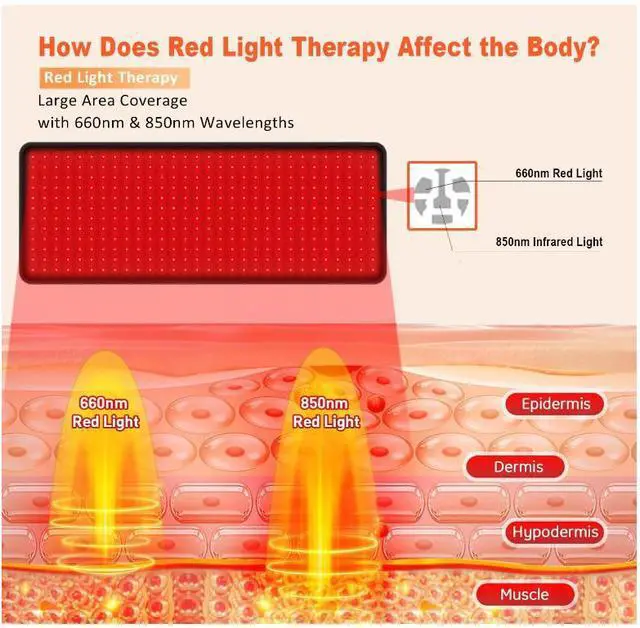 Alt view image 4 of 4 - COZING Red Light Therapy for Body, 31.5" x 11.8" Large Infrared Red Light Therapy Belt Pad with Timer for Back Belly Shoulder Muscle Pain Relief,  Portable 660nm 850nm Home Heating Light Therapy