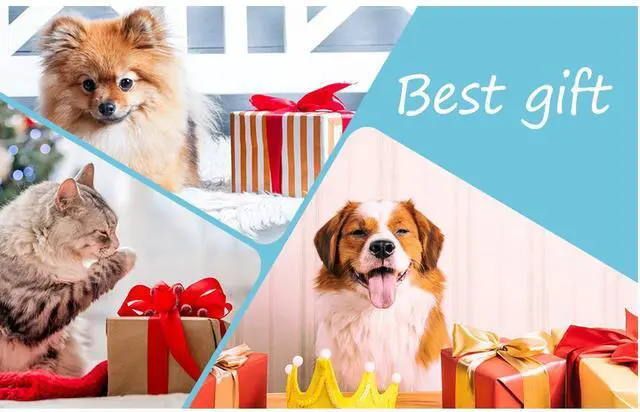 Alt view image 2 of 4 - COZING 31.5" x 11.8" Red Light Therapy Mat for Body, 360 LEDs, Red Light & Infrared Therapy Large Pad with 660nm & 850nm for Back Waist Belly Shoulder Discomfort with Timer Pulse