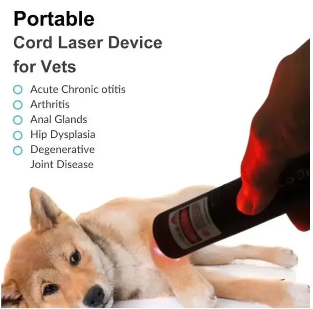 Alt view image 4 of 4 - Handheld Led Red Light Therapy Pen Health Medical Torch For Animals Horse Cat Dog Health Care