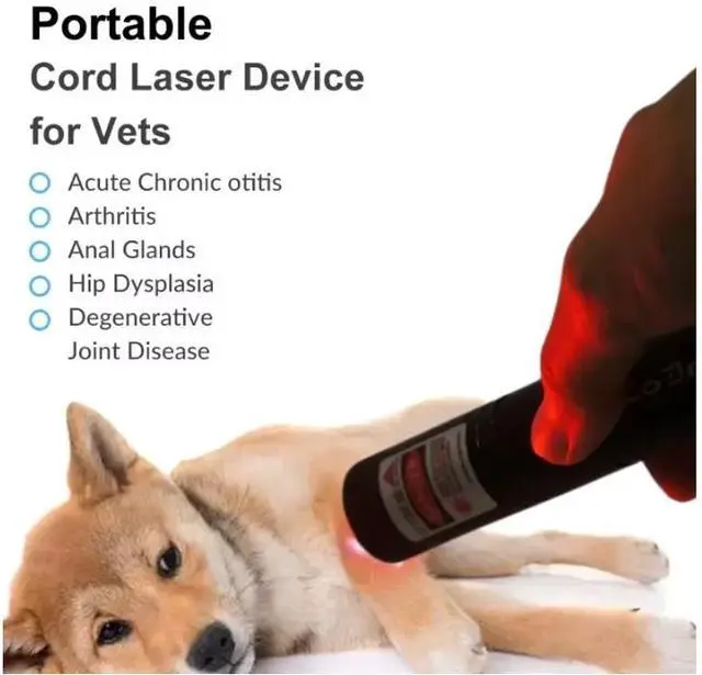 Alt view image 4 of 4 - Laser Therapy Physiotherapy Acupuncture Massage Pen Rechargeable USB for Body Use