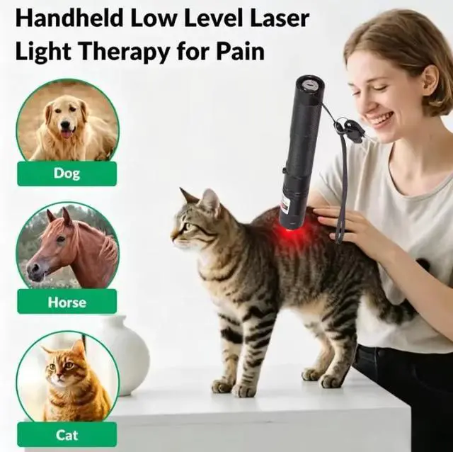 Alt view image 6 of 6 - Rechargeable Laser Pen Electronic Acupuncture Pen Meridians Massage Energy Pen Relief Pain Tools Laser Acupuncture Pen