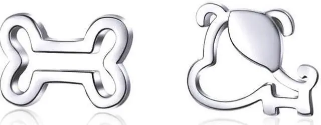 Main image of Sterling Silver Hollow Dog Bone Earrings Simple Jewelry SCE649