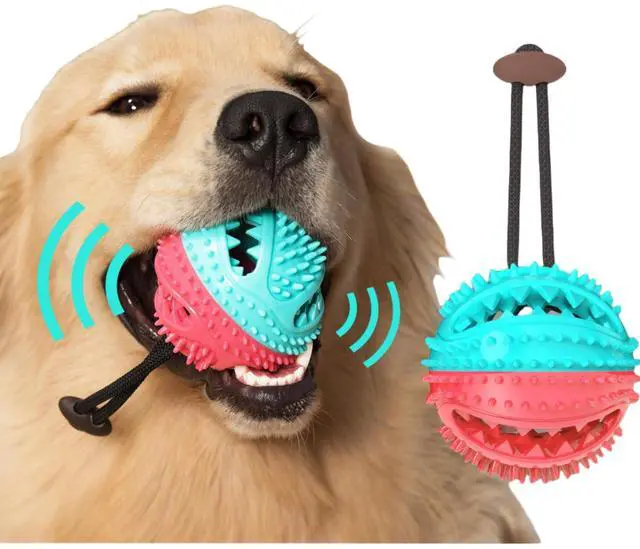 Main image of Interactive Dog Chew Toy, Teeth Cleaning Ball with Rope Dog Squeaky Toys Food Dispenser Exercise Training Balls