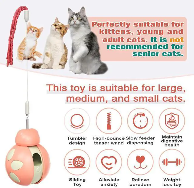 Alt view image 2 of 7 - Cat Play Toy Ball Treat Dispenser Tumbler Beetle Interactive Kitty Toy Cat Feed Ball Cat Teaser Toy Sliding