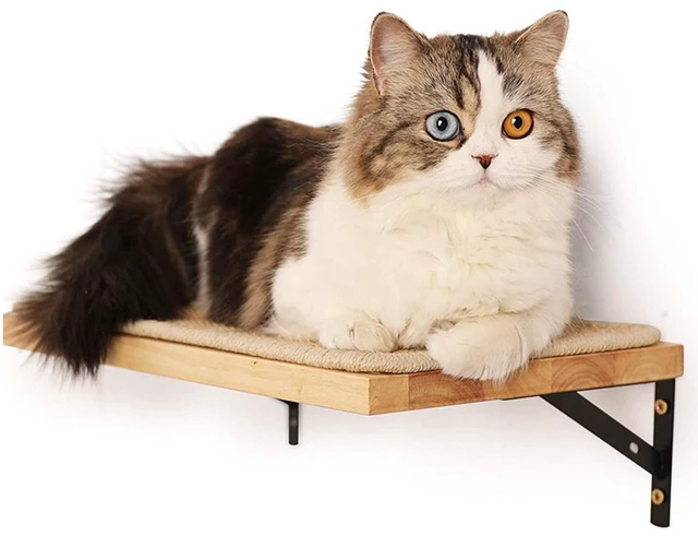 Alt view image 5 of 7 - 2 Pieces Cat Hammock Wall Mounted Floating Wall Shelf with Cat Scratching Mat Thick Solid Wood Cat Tree for Cat