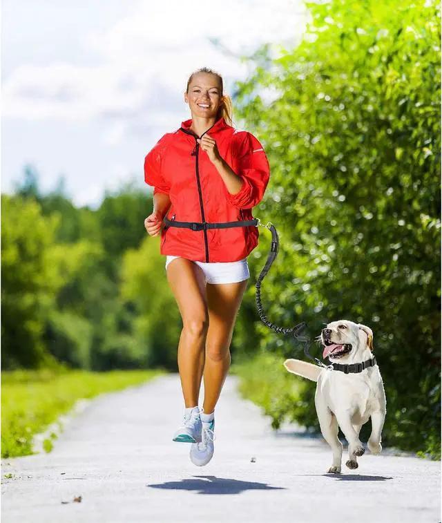 Alt view image 4 of 7 - GOOPAWS Bungee Reflective Standard Dog Leash, Hands Free Dog Leash for Running, Walking, Hiking Jogging for Medium & Large Dogs up to 150lbs