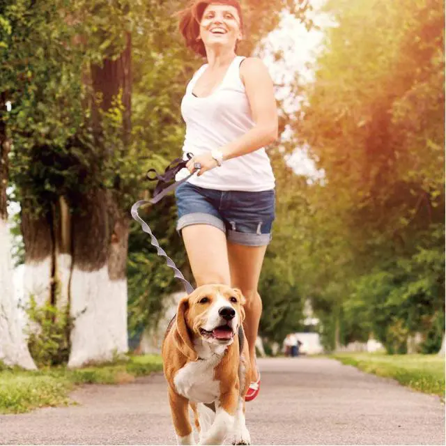 Alt view image 7 of 7 - GOOPAWS Bungee Reflective Standard Dog Leash, Hands Free Dog Leash for Running, Walking, Hiking Jogging for Medium & Large Dogs up to 150lbs