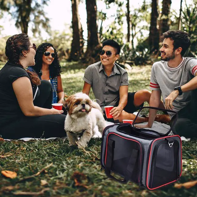 Alt view image 7 of 7 - GOOPAWS Soft-Sided Pet Travel Carrier, Airline Approved Dog & Cat Carrier Collapsible, Collapsible Kennel for Small Dogs Cats, Puppy