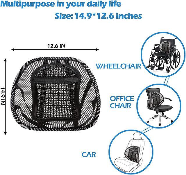 Big Ant Car Lumbar Support Pillow for Office Chair Mesh Back