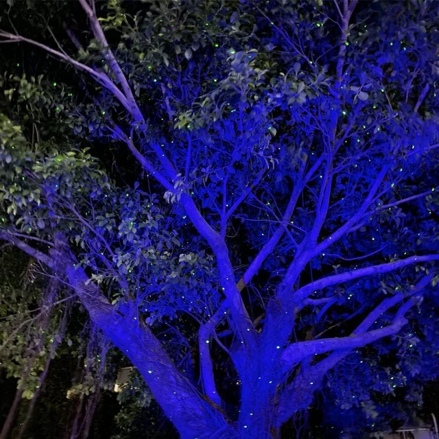 Alt view image 3 of 6 - Firefly Laser Star Projector Garden Lights Christmas Lights for Lawns & Courtyard