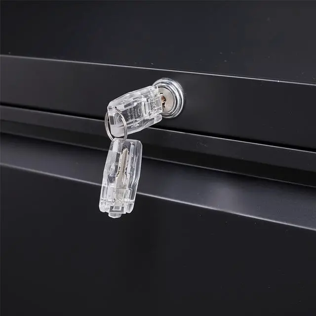 Alt view image 5 of 6 - 2 Drawers Lateral File Cabinet Organizer with Lock for Hanging File Folders,Steel