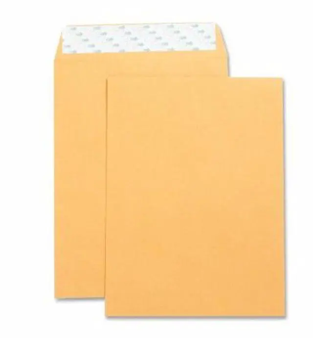 Alt view image 2 of 6 - Business Source Catalog Envelopes Self Seal Plain 9"x12" 250/BX Kraft 42120