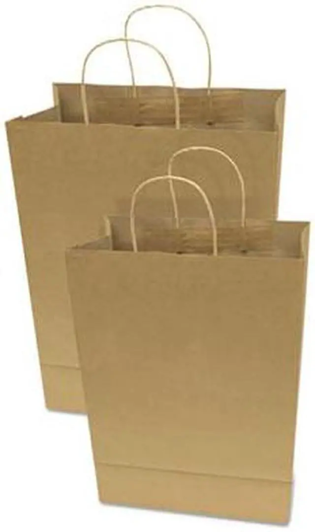 Alt view image 3 of 3 - Consolidated Stamp 091566 Premium Large Brown Paper Shopping Bag, 50-Box