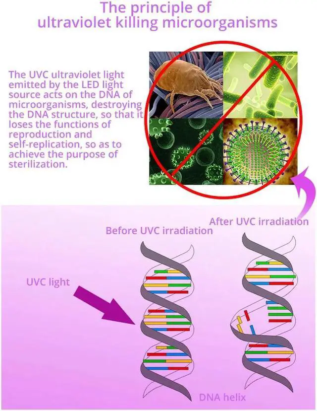 Alt view image 3 of 5 - Light 365nm Ultra Violets mini Ultraviolet Lanterna IP65 Waterproof Invisible Torch for Pet Stains Use 18650 EDC Light