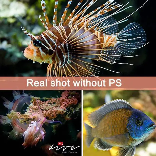 Alt view image 5 of 5 - II 5500K 3500lumens HD video diving photoraphy lights Underwater 100m diving video lights UV red fill light dive flashlight