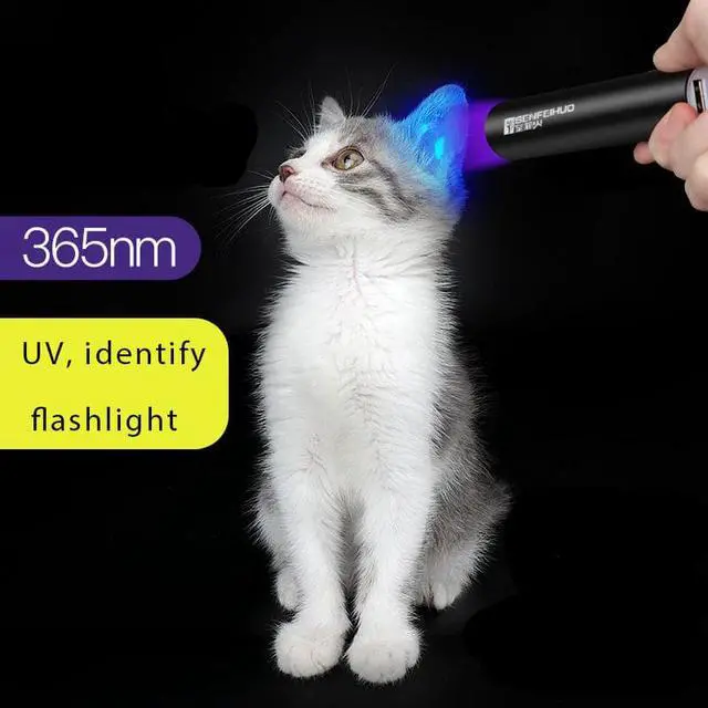 Alt view image 5 of 5 - Moss LED UV Flashlight 365nm Purple Violet Light Torch Lamp